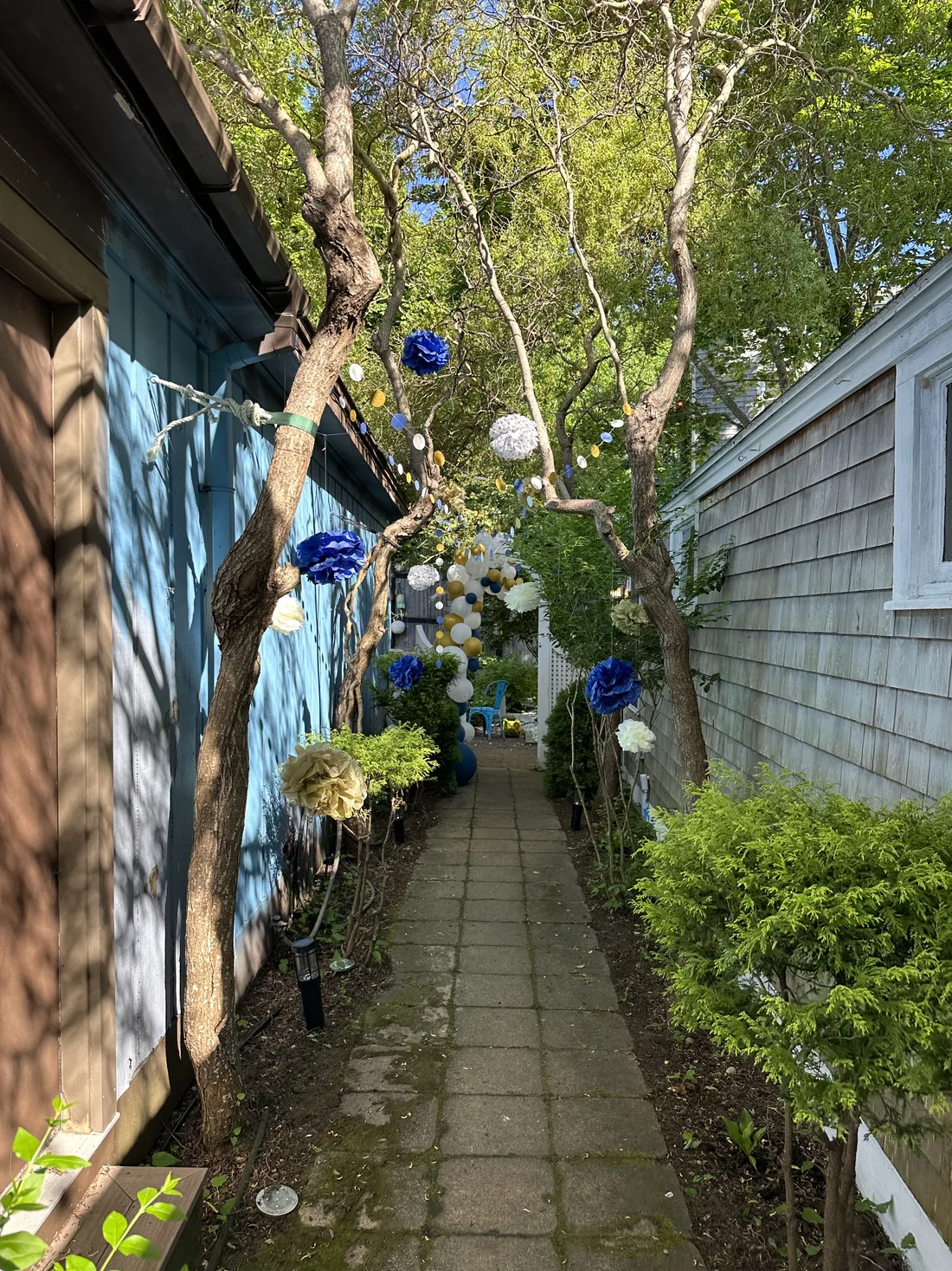 The green garden path leading from Commercial Street to the private backyard