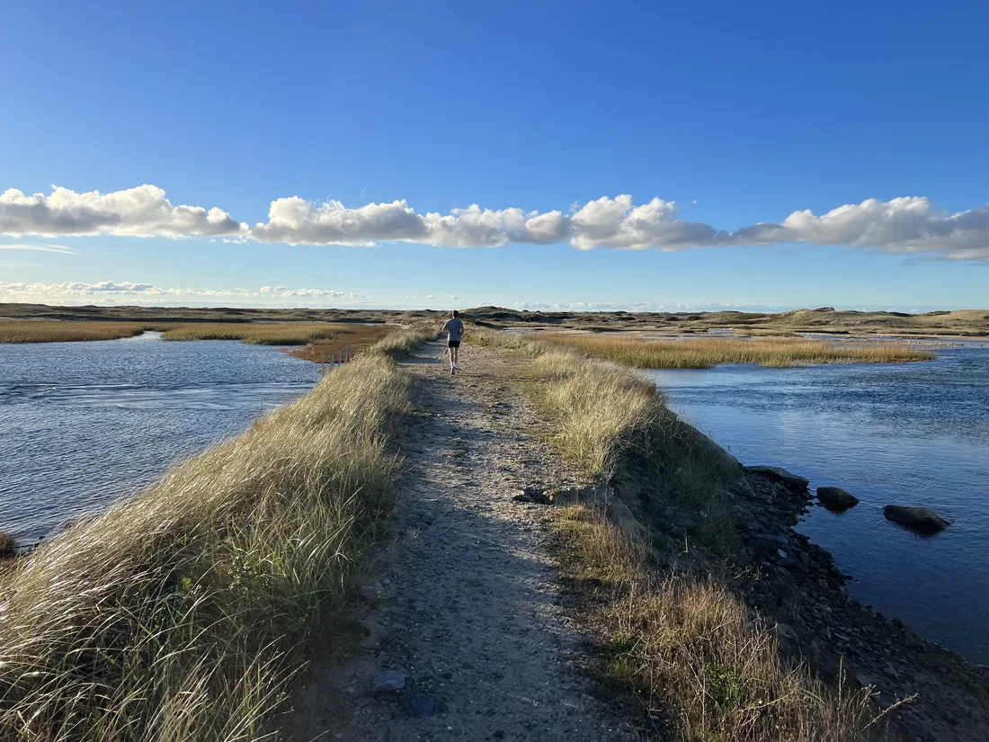 A narrow trail through the salt marsh near Provincetown